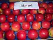 Яблоки из Молдовы. Калибр и сорта на заказ.