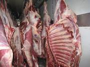 Продаем мясо курятина,  баранина,  свинина,  говядина.
